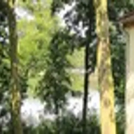 Σπίτι διακοπών Am Weinberg, Dobbrikow