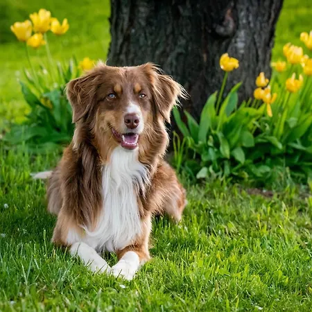 Σπίτι διακοπών Am Weinberg,