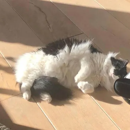 Am Weinberg, Σπίτι διακοπών *