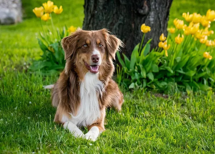 Holiday home Am Weinberg,