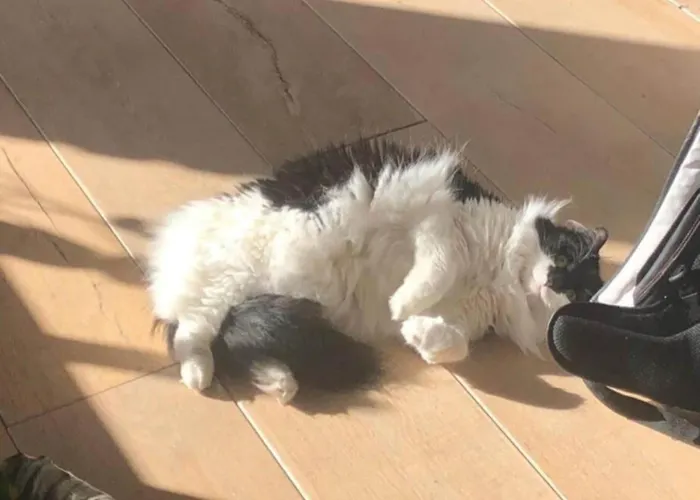 Am Weinberg, Holiday home *